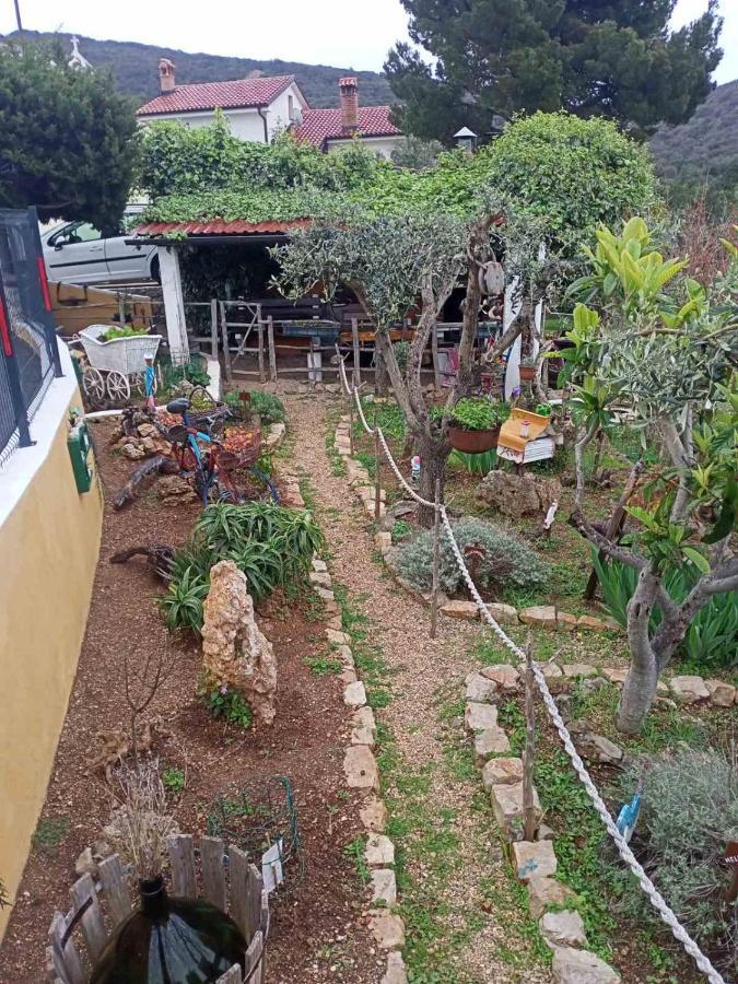 Apartment Agava Miholascica المظهر الخارجي الصورة
